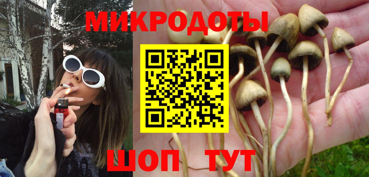 Псилоцибиновые грибы Cubensis Глазов