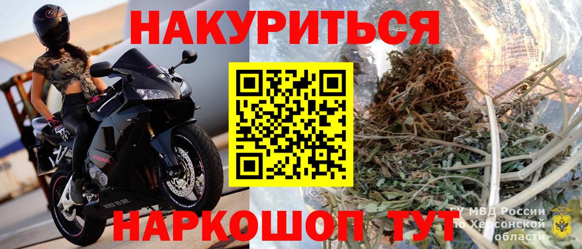 Каннабис гибрид Глазов